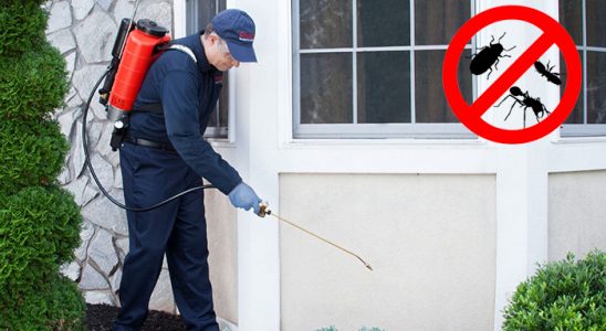 Geyve Hamam Böceği İlaçlama böcek ilaçlama ve haşere kontrolü — ilaclama-tr.com